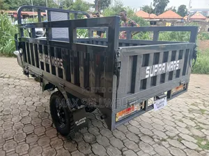 New Tricycle 2025 Gray