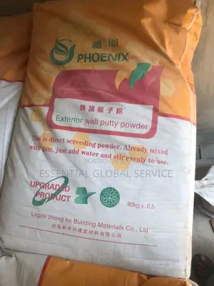 Phoenix Wall Putty Powder