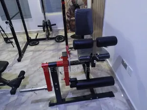 Commercial Leg Extensions Machine