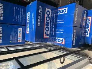 100ahms 12v Forgo Dry Cell Gel Battery