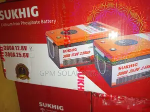 300amps 24volts(2.5kwh) Lithium Battery
