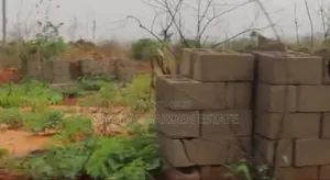 50x100sq. Meter Land for Sale at Ibusa Asaba Delta State
