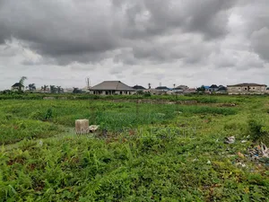 1000sqm Plot Ijegun New Rad With 33 Piled Fence