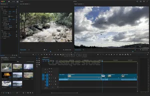 Prof Video/Movie Editor and Color Grading
