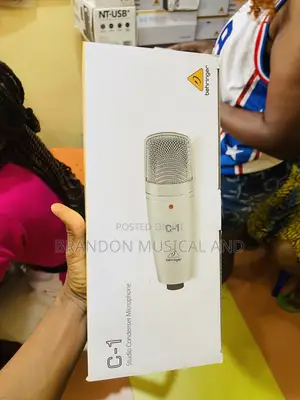 Behringer C1 Studio Microphone