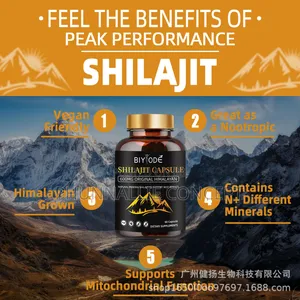Shilajit Capsule With Himalayan