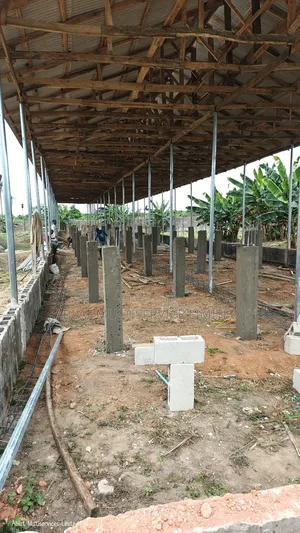 Low Cost High Rise Pen House for Poultry Farmers