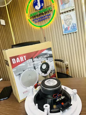 Dart100watts Ceiling Speakers