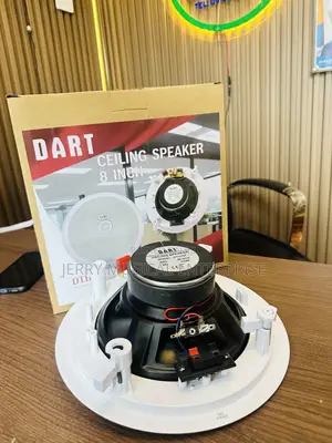 100watts Ceiling Speakers