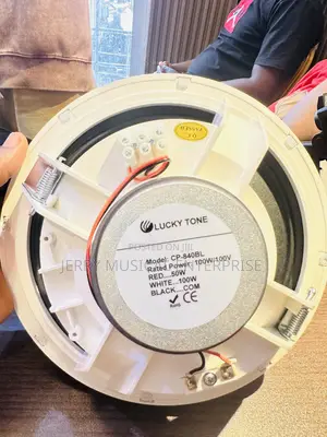 Lucky Tone 100watts Ceiling Speakers