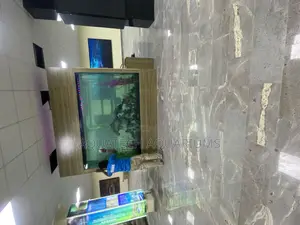 Aquarium Maintenance