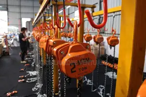 2 Ton of Vital Chain Block