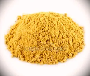 Ginger Powder 100% Organic