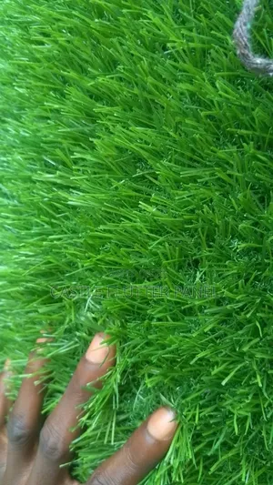 Artificial Grass