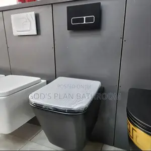 Black Wall Hung Toilet