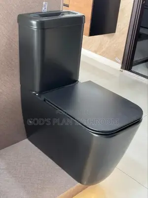 Executive Black Toilet With Basin