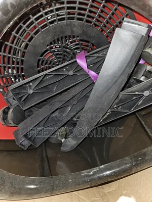 Mango Heir Dryer