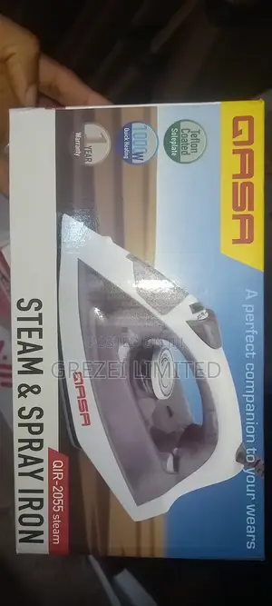 Qasa Steam and Spray Iron