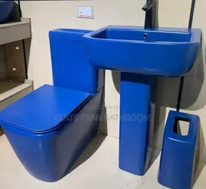 Executive Color Big Toilet Set