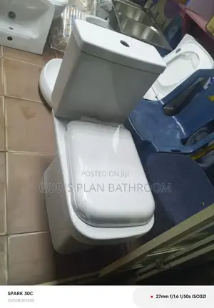 Golden Diamond Seat With Wash Hand Basin