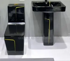Black With Gold Line Design Toilet