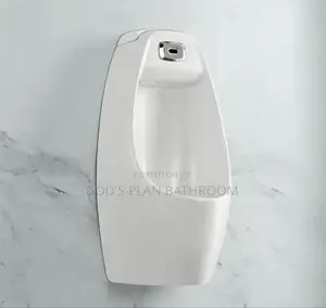 Sensor Urinal Bowl