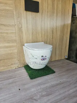 Design Wall Hung Toilet