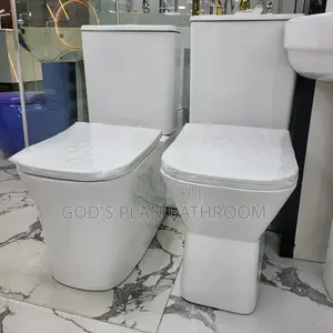 Executive White Toilet With Basin