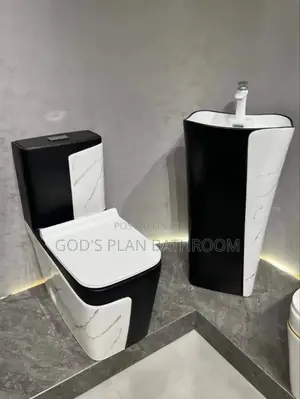 Special Black and Toilet With Standing Basin
