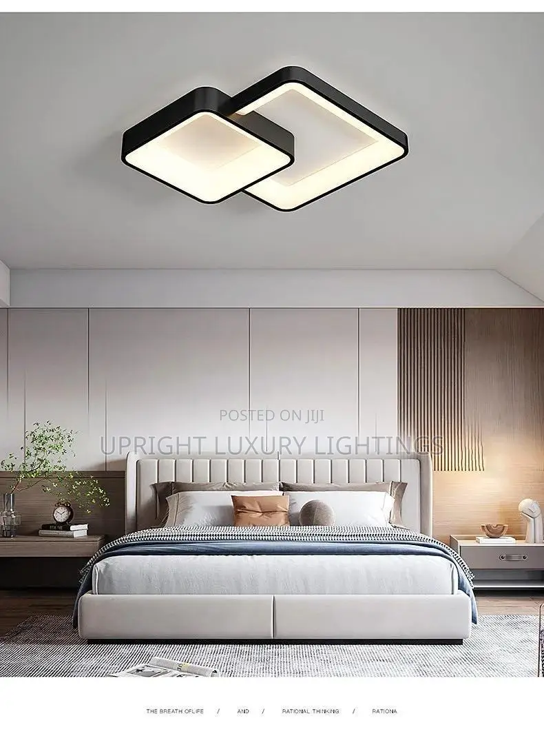 Modern Led Ceiling Lamp