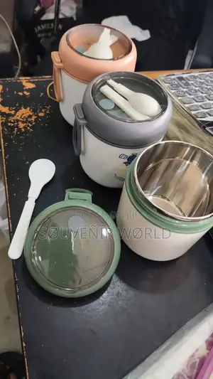 530 Ml Insulated Food Flask