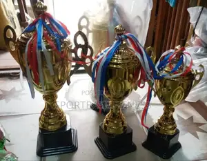 Set Of 3pcs Trophy