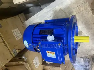Electric Motor