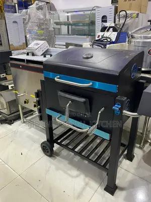 Barbecue Grill Charcoal Imported