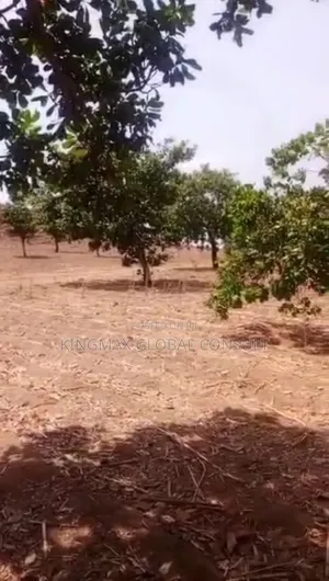 Land For Sale Of 2400sqm