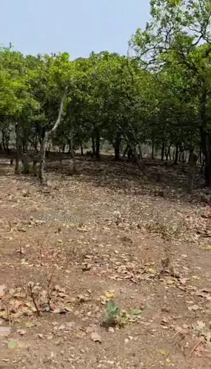 Distress Sales Guzape Main* Landsize 3000sqm Fcda Cofo