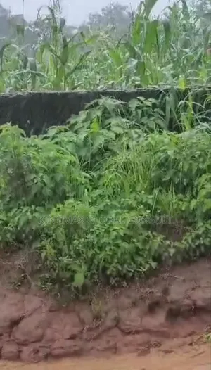 Land Plot for Sale With Cofo