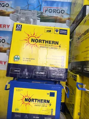 Northern Star Tall Tubular Battery (Made in India)
