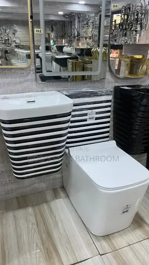 Black and White Water Closet