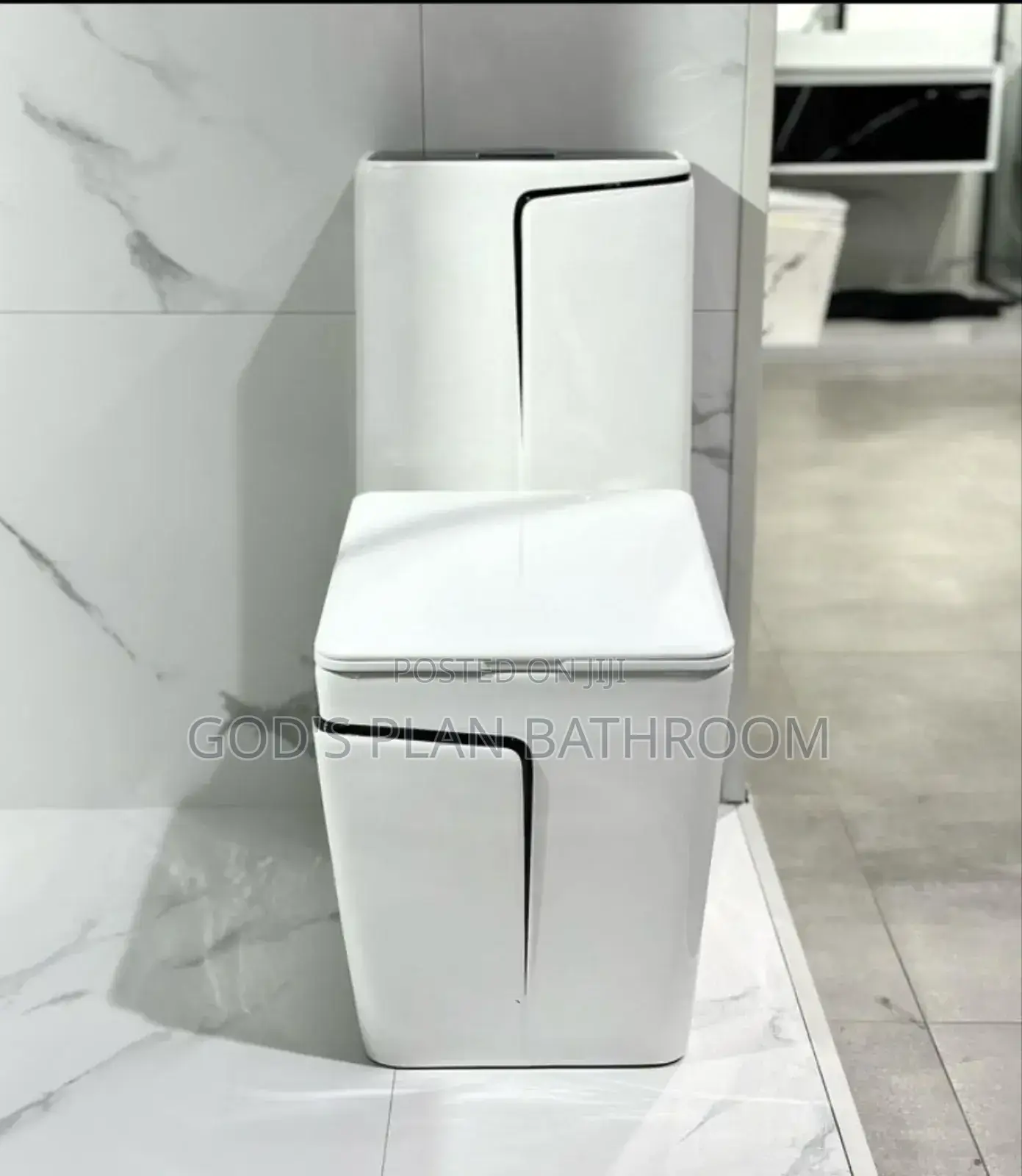 Special Toilet Seat With Basin