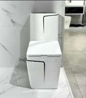 Special Toilet Seat With Basin