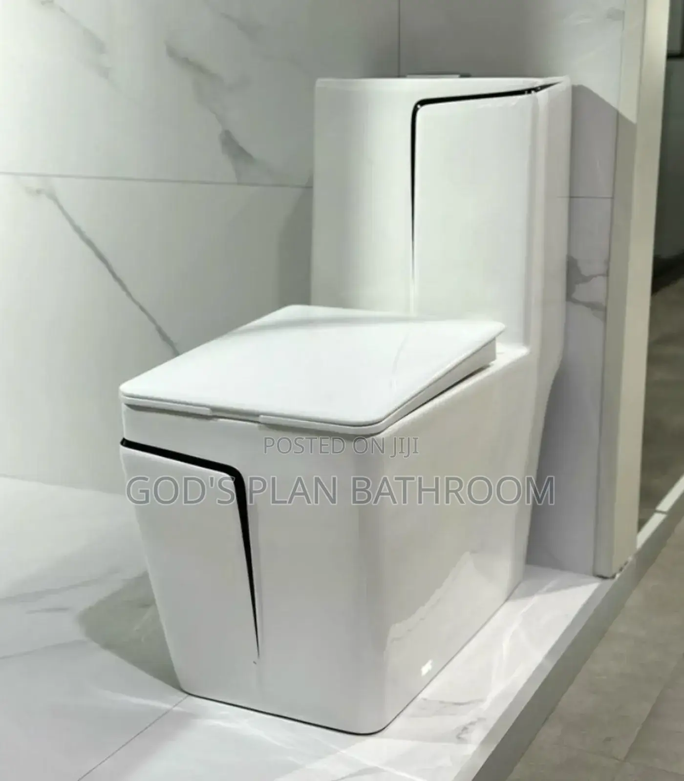 Special Toilet Seat With Basin