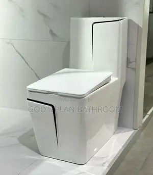 Special Toilet Seat With Basin