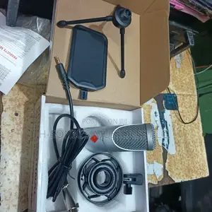 Professional Birdsinger v-2 Studio Microphone