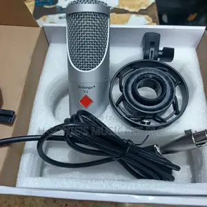 Professional Birdsinger v-2 Studio Microphone