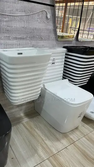 Executive White Toilet Seat With Basin