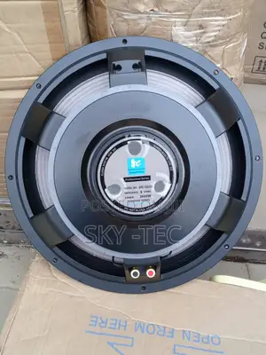 Original Sound Piece 15inches 3000watts Big Magnet 8ohms Naked Speaker