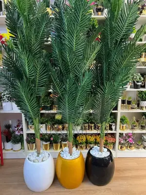 Planter Plant