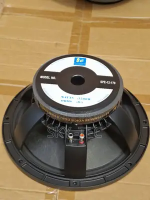 Original Sound Piece 12inches 1500watts Big Magnet 8ohms Naked Speaker