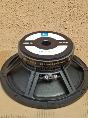 Original Sound Piece 12inches 2000watts Big Magnet 4ohms Naked Speaker